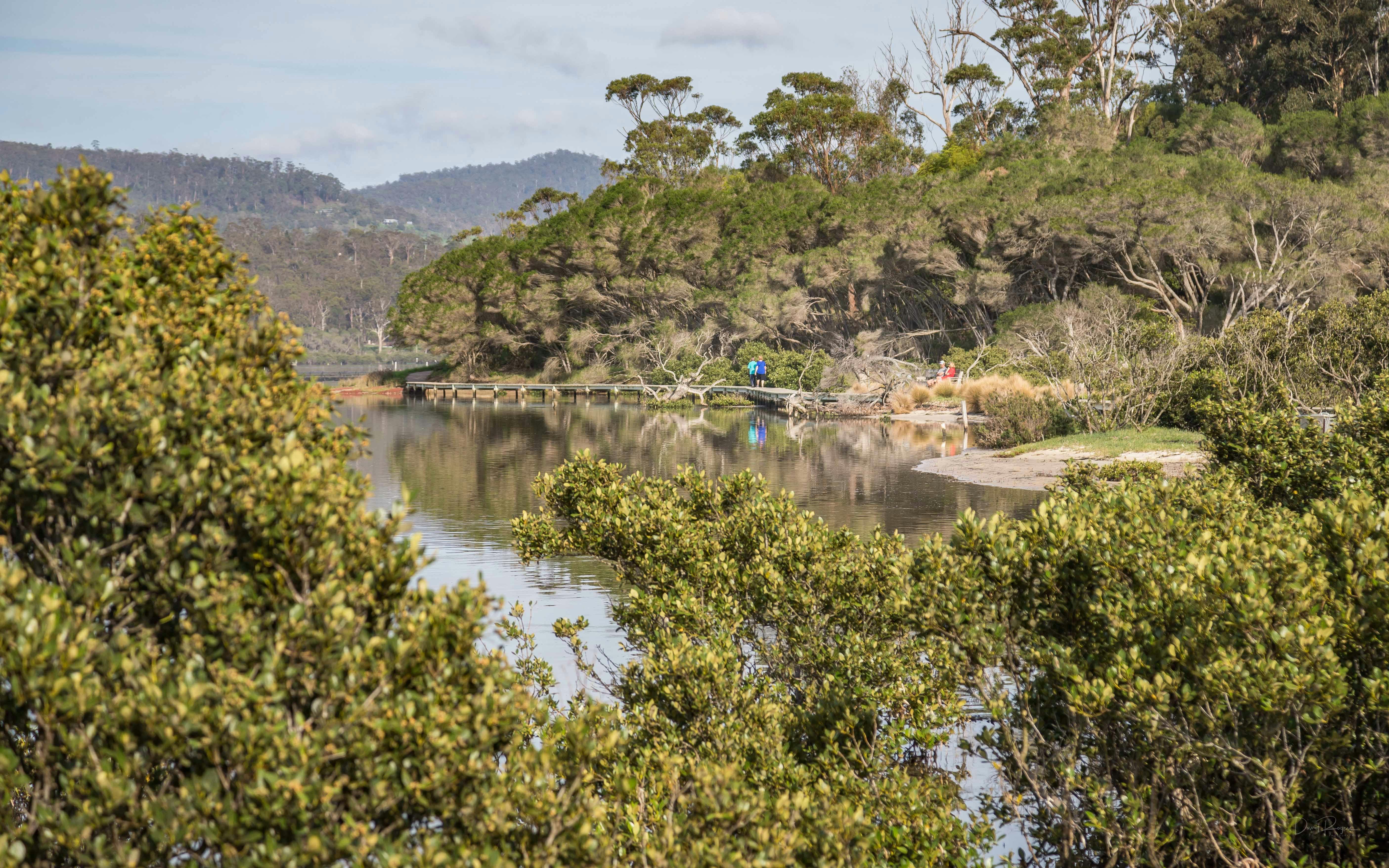 Merimbula Boardwalk