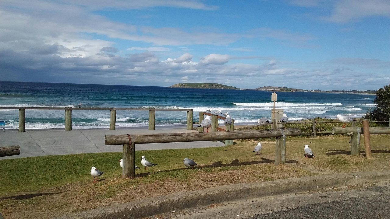 Macauleys Beach