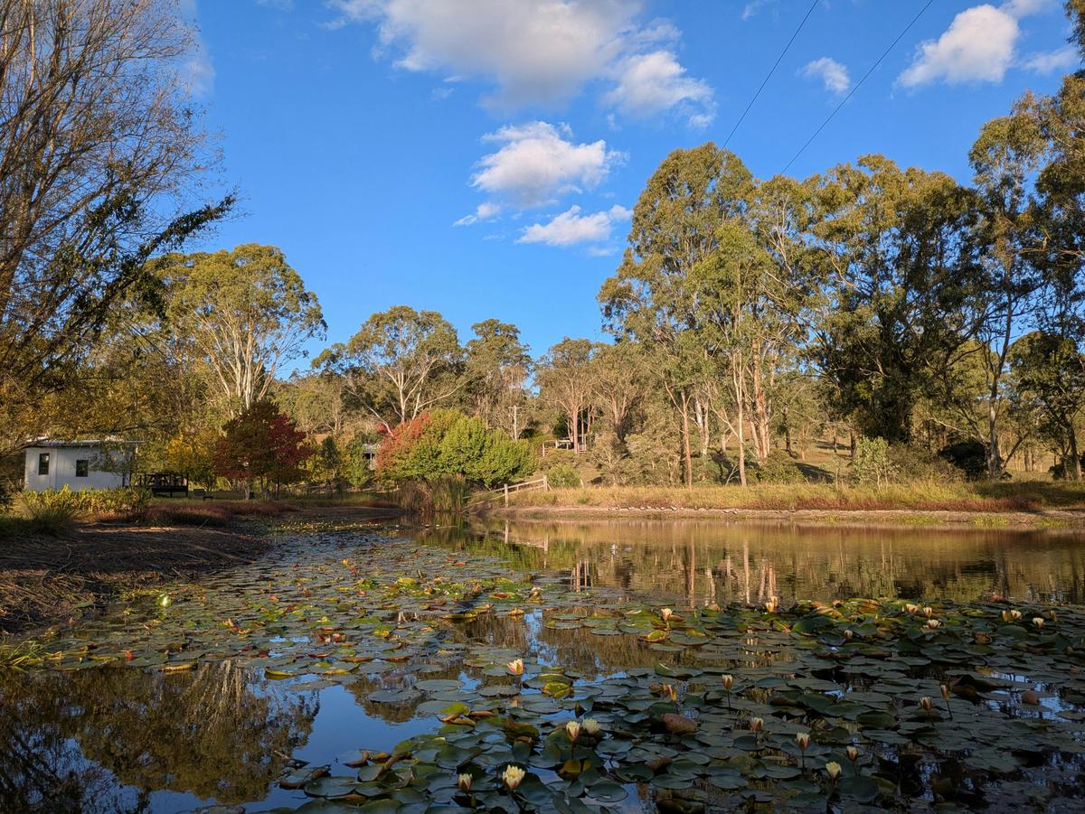 Our dam with the Cellar Door visible to the left