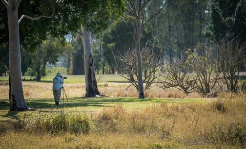 Community Tree Planting & Bird Watching: Lismore Lake