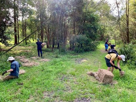 Community Tree Planting: North Lismore Wetlands