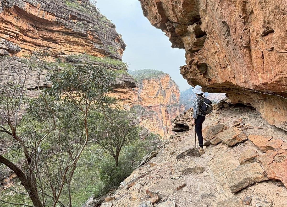 Stunning vista's over the Grose Valley make Darks Cave a highlight of our Blue Mountains hikes.