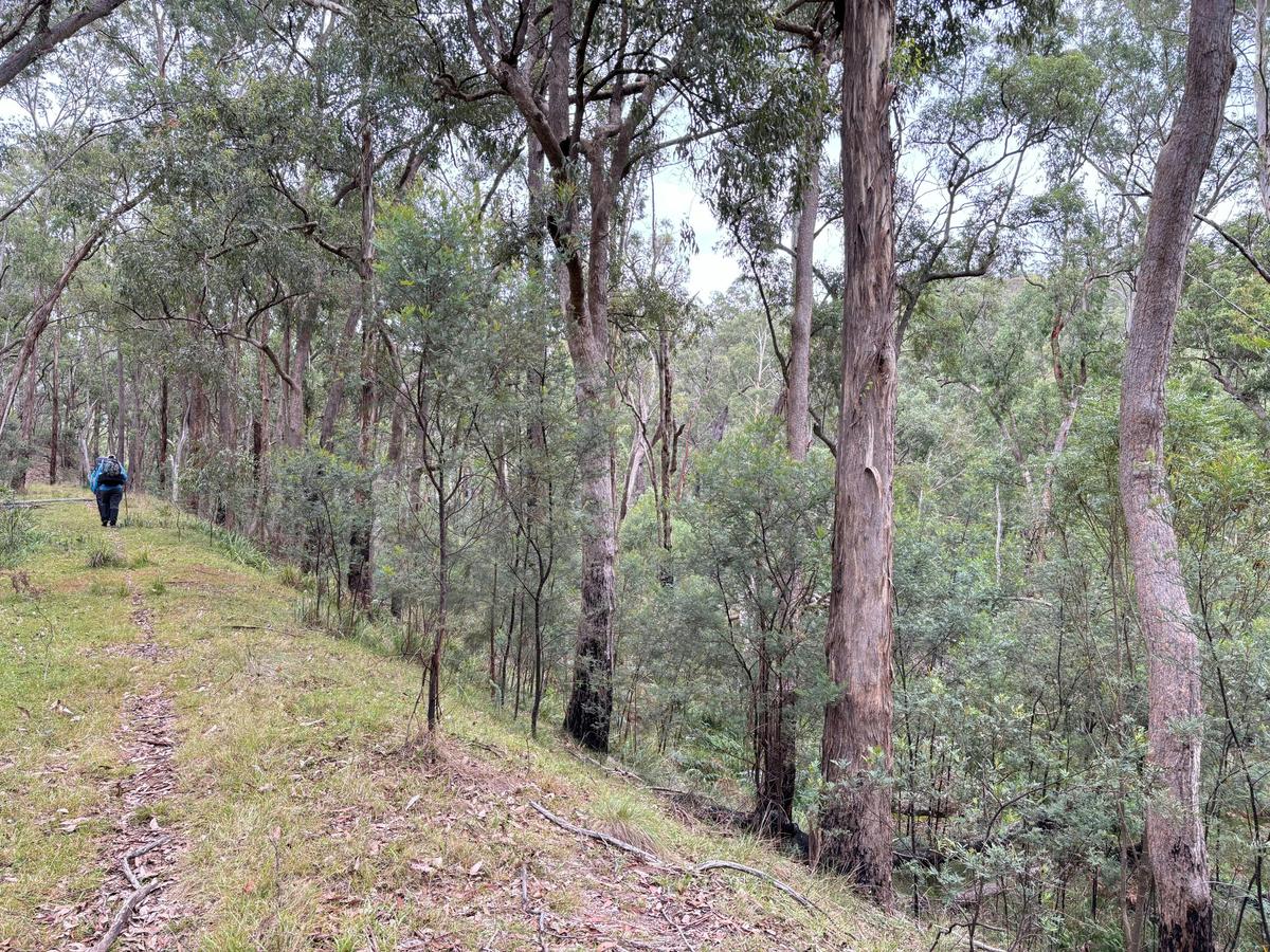On the rail trail. Newnes Valley.