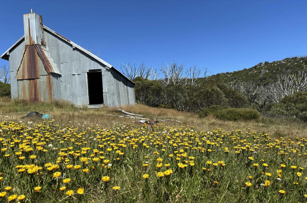 Mawsons Hut, Kosciusszko National Park
