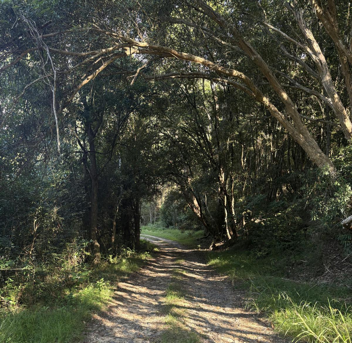 Old Great North Road - Clare's Bridge: In the wake of the road gangs