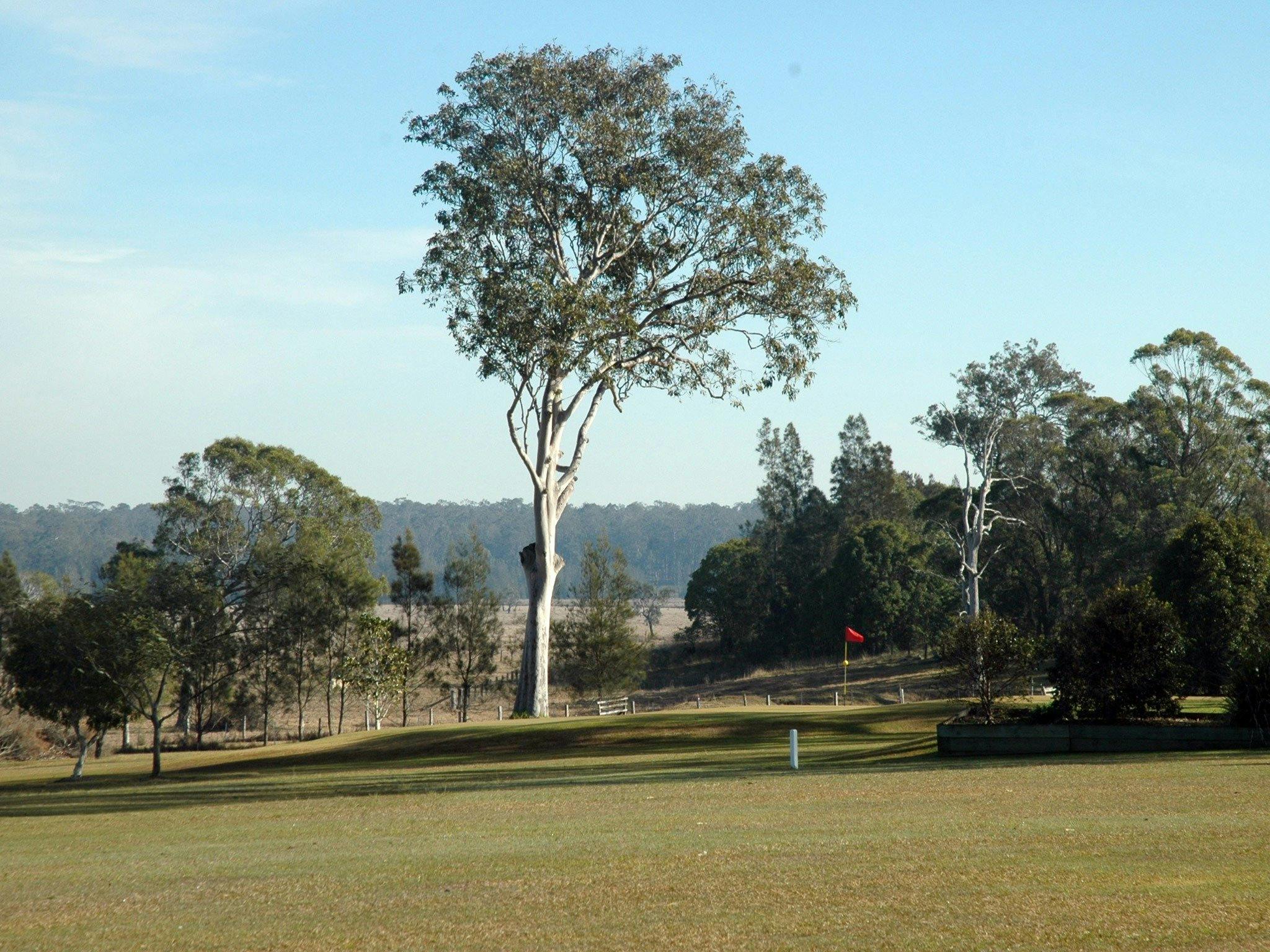 Golf Course
