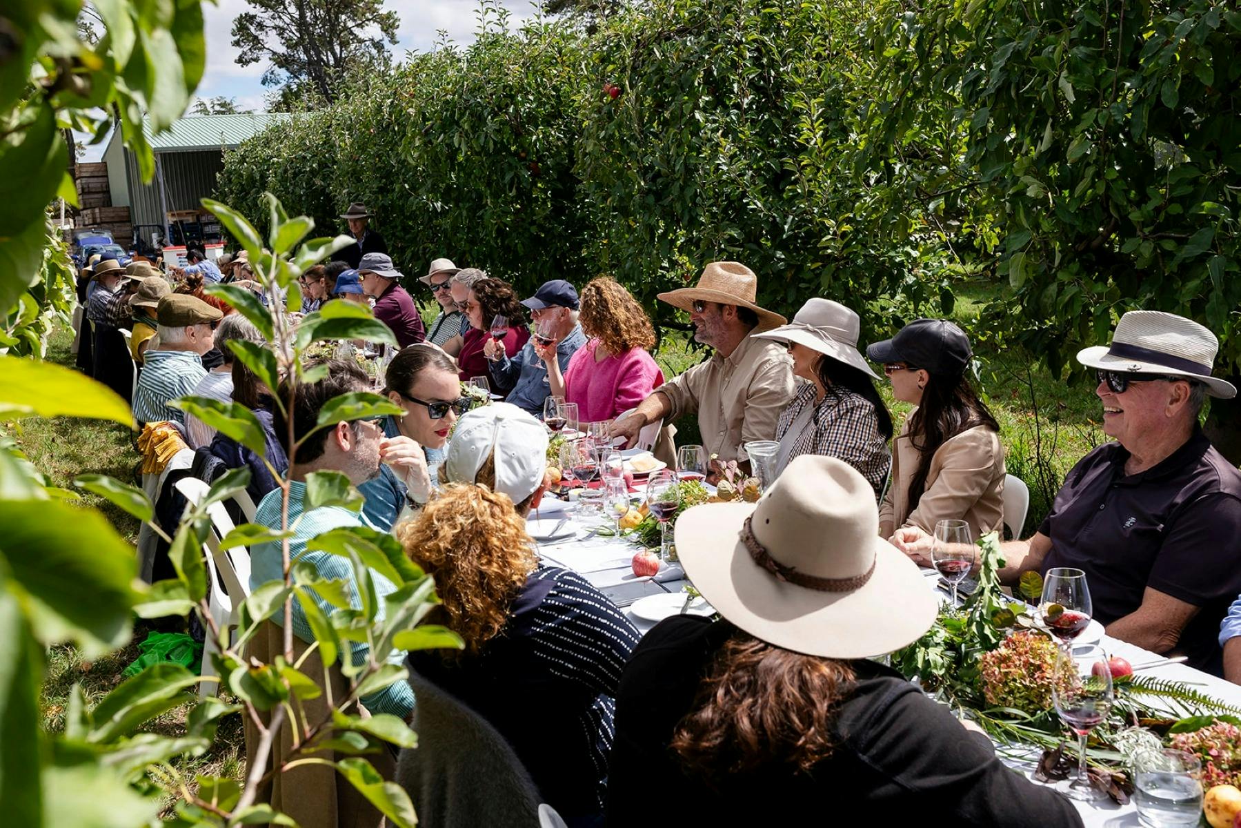 Hillside Harvest lunch