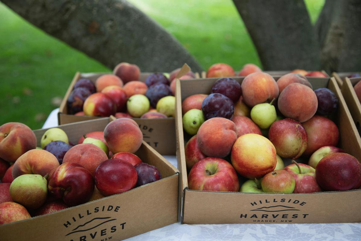 Orange FOOD Week - Sunday Producers Market and Brunch