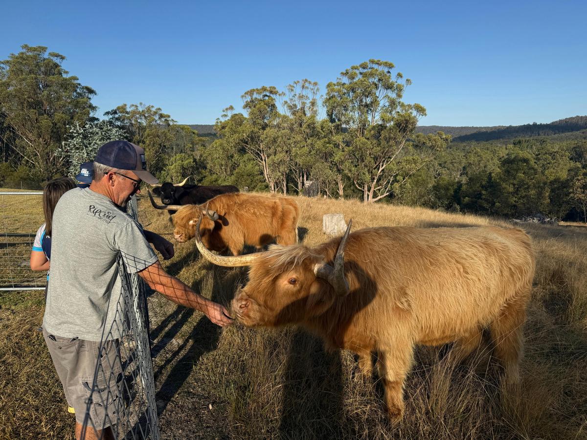 Petrichor Highland Farmstay