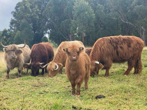 Petrichor Farmstay
