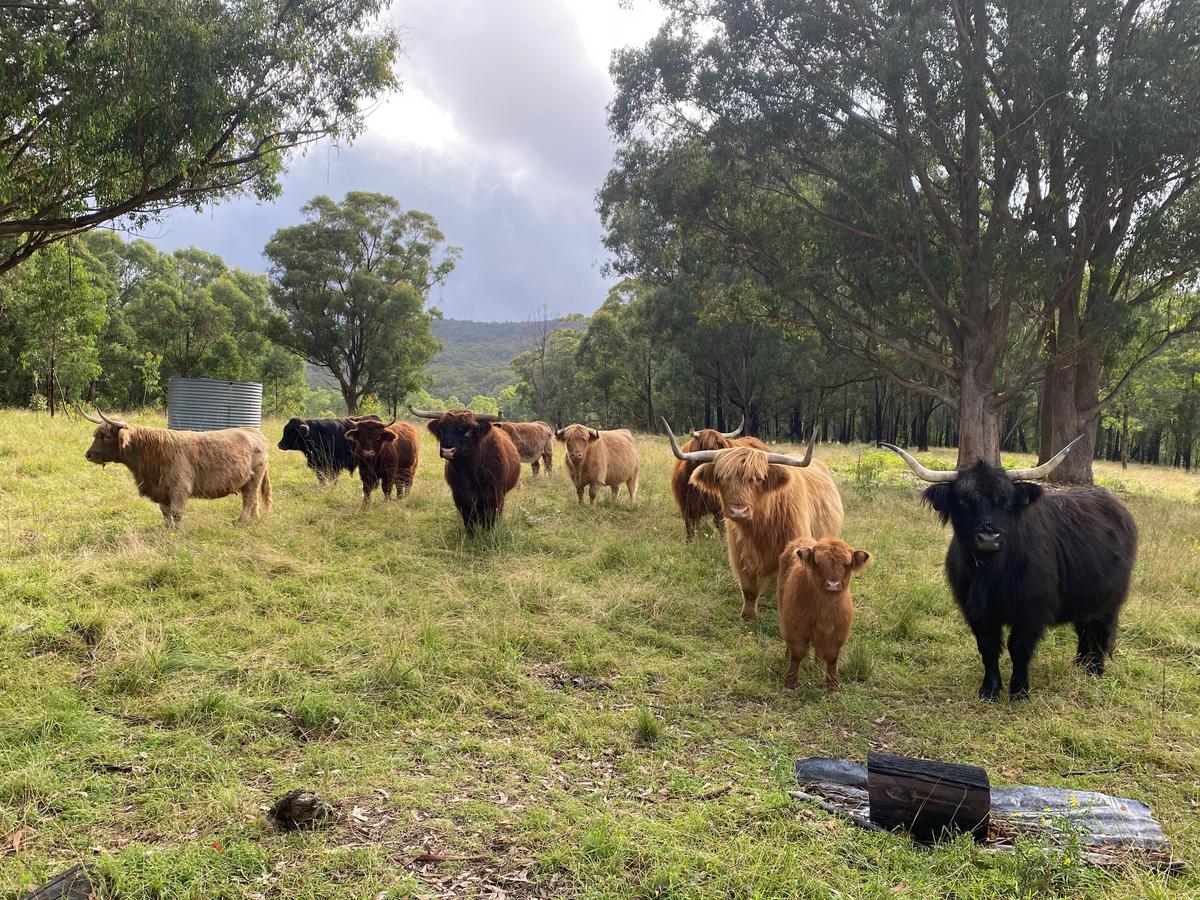 Petrichor Highland Farmstay