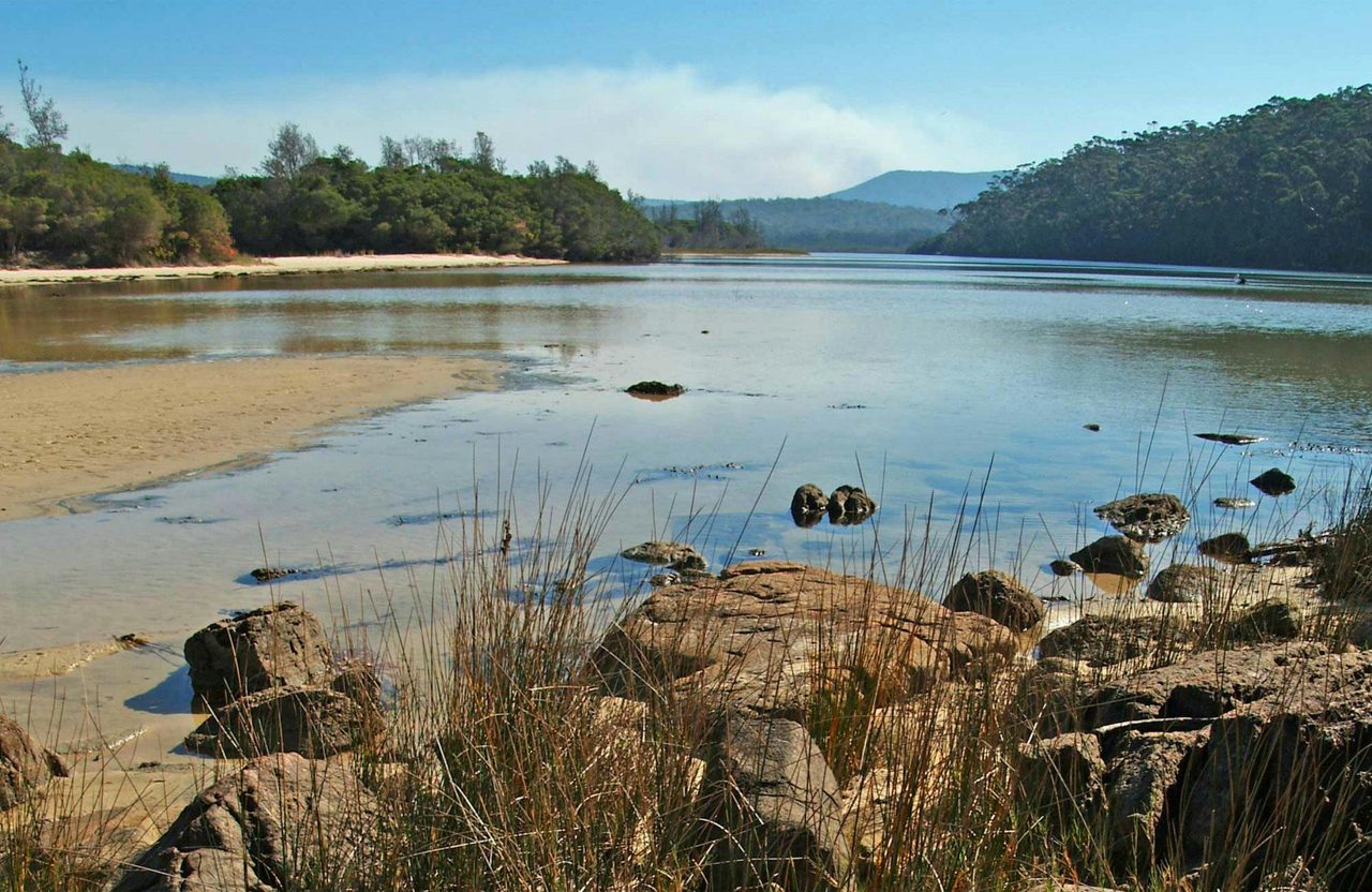 Merrica River, Nadgee Nature Reserve. Photo: Alison Mackay