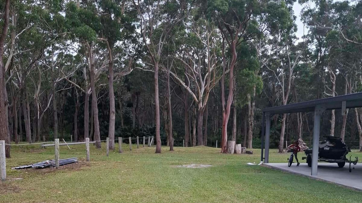 Camellia Retreat