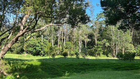 Orchard Fields