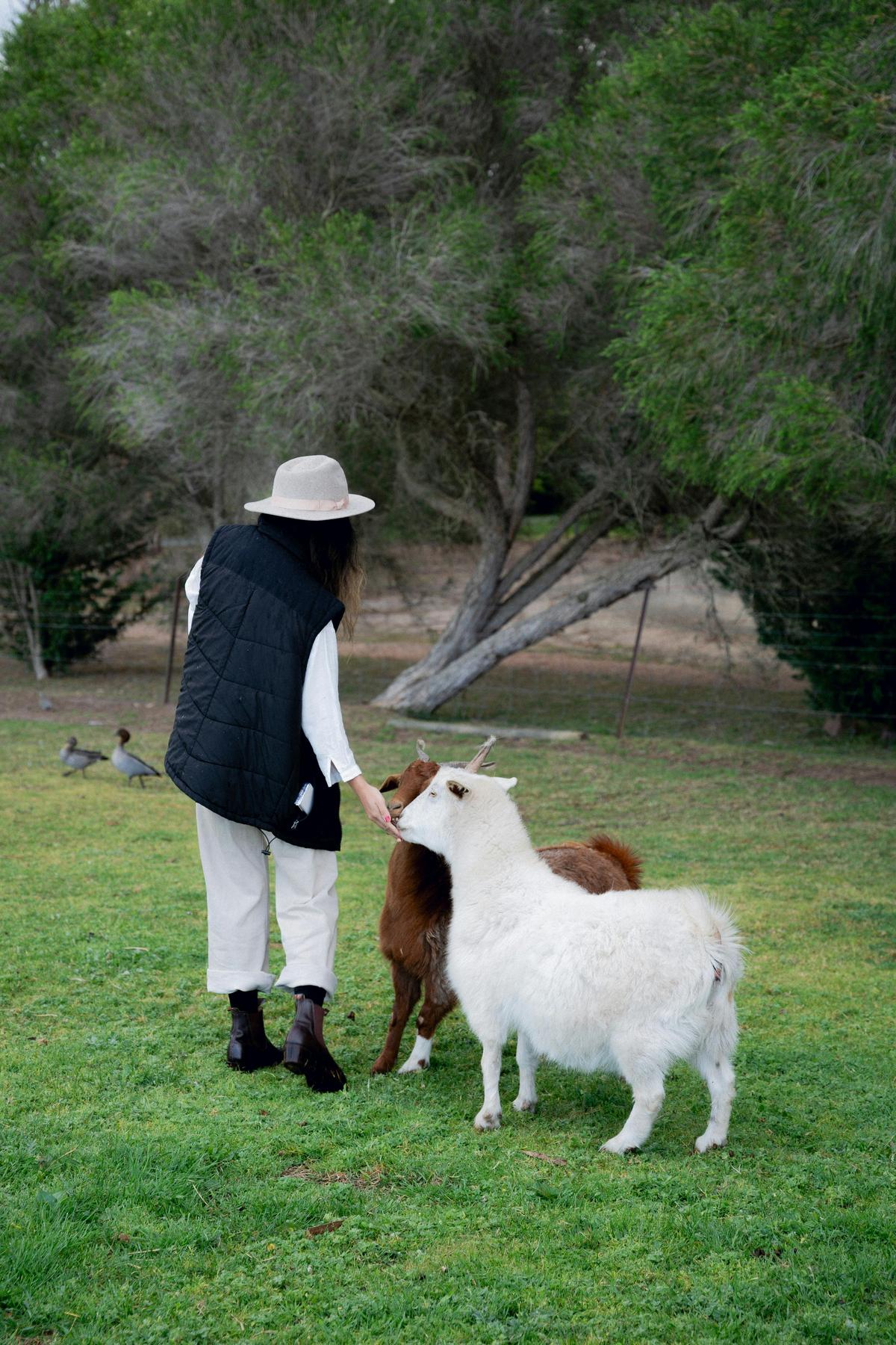 Eight Acres Farm Animal Feeding