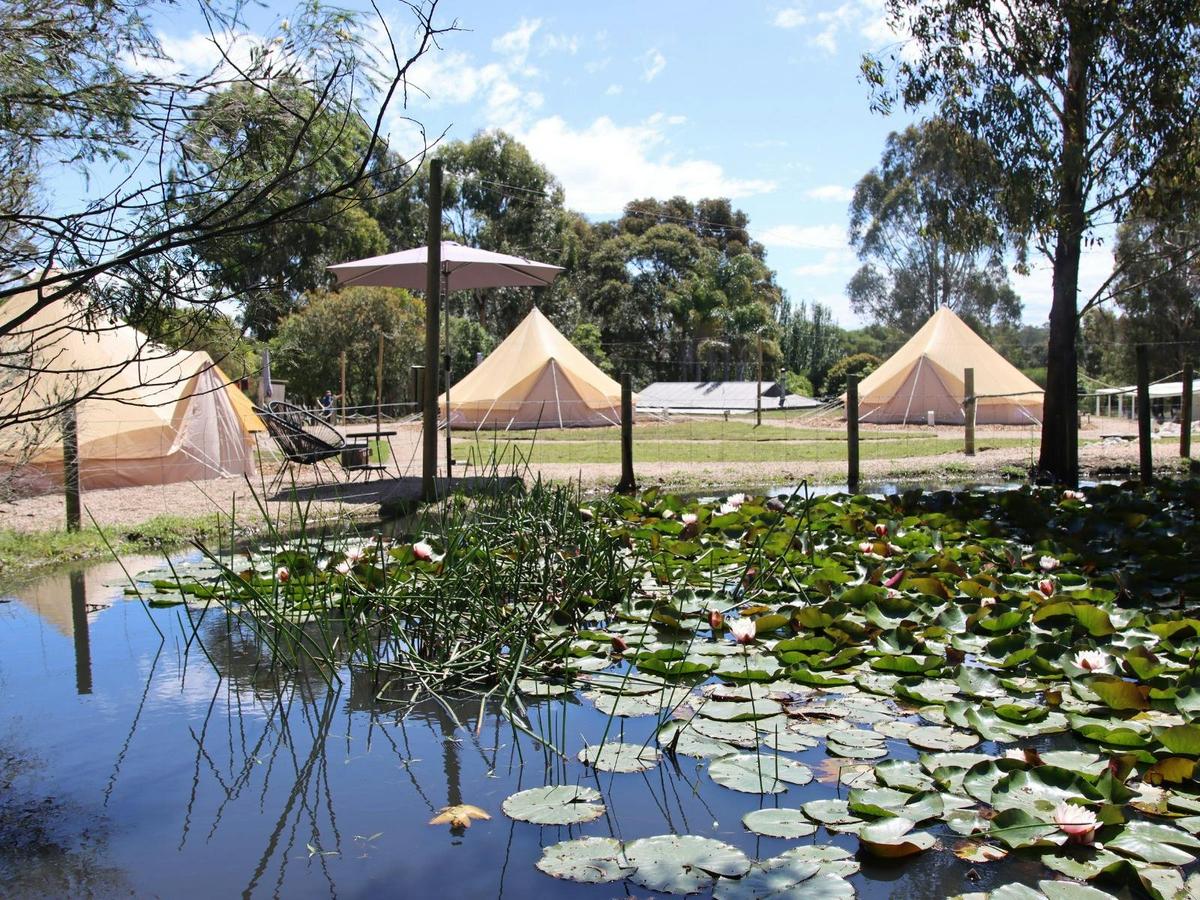 Eight Acres Glampin Experience
