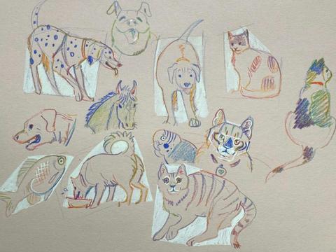 Family workshop: Create Pet Portraits