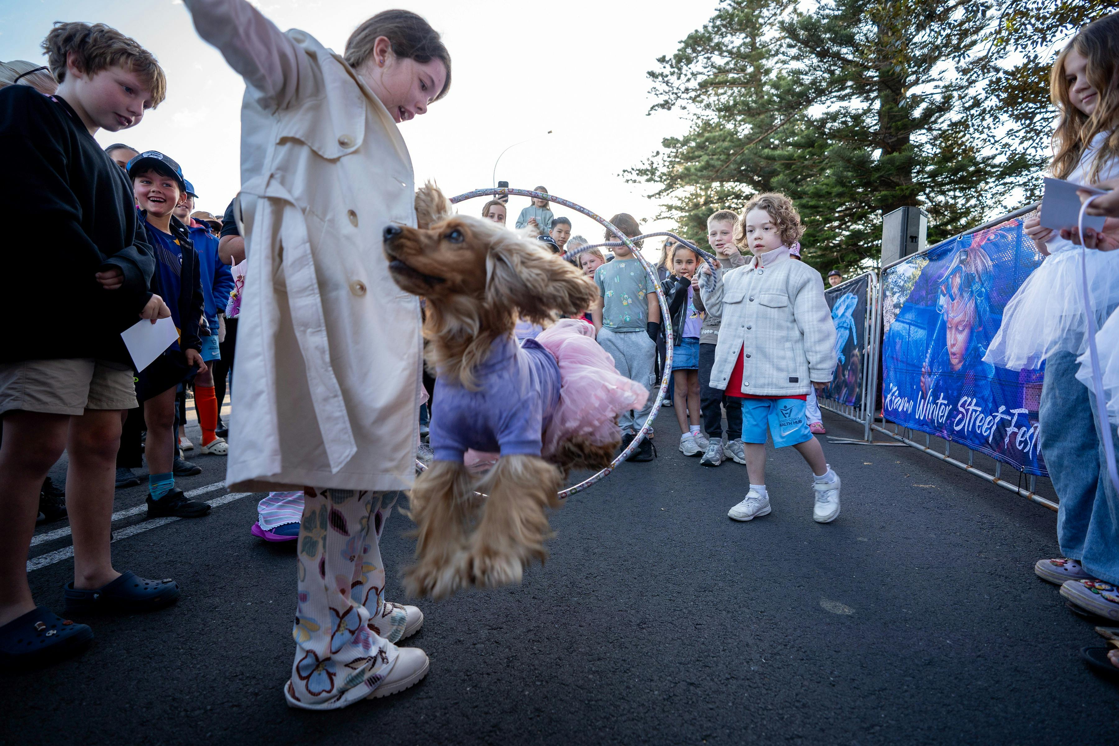 Dog Trick & Best Dressed Comp