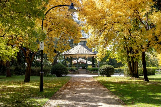 Machattie Park