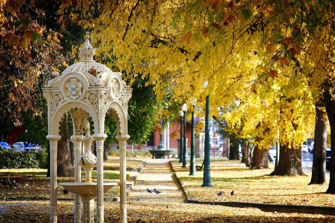 Autumn Leaves Machattie Park