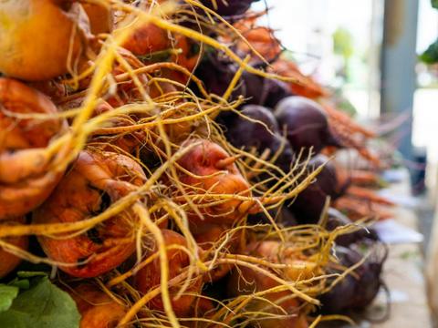 The Co-op Growers Market