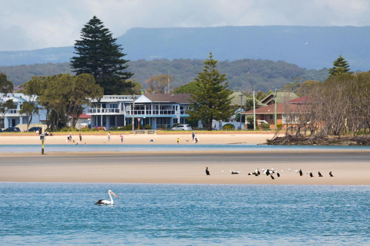 Pelican's on Lake Illawarra