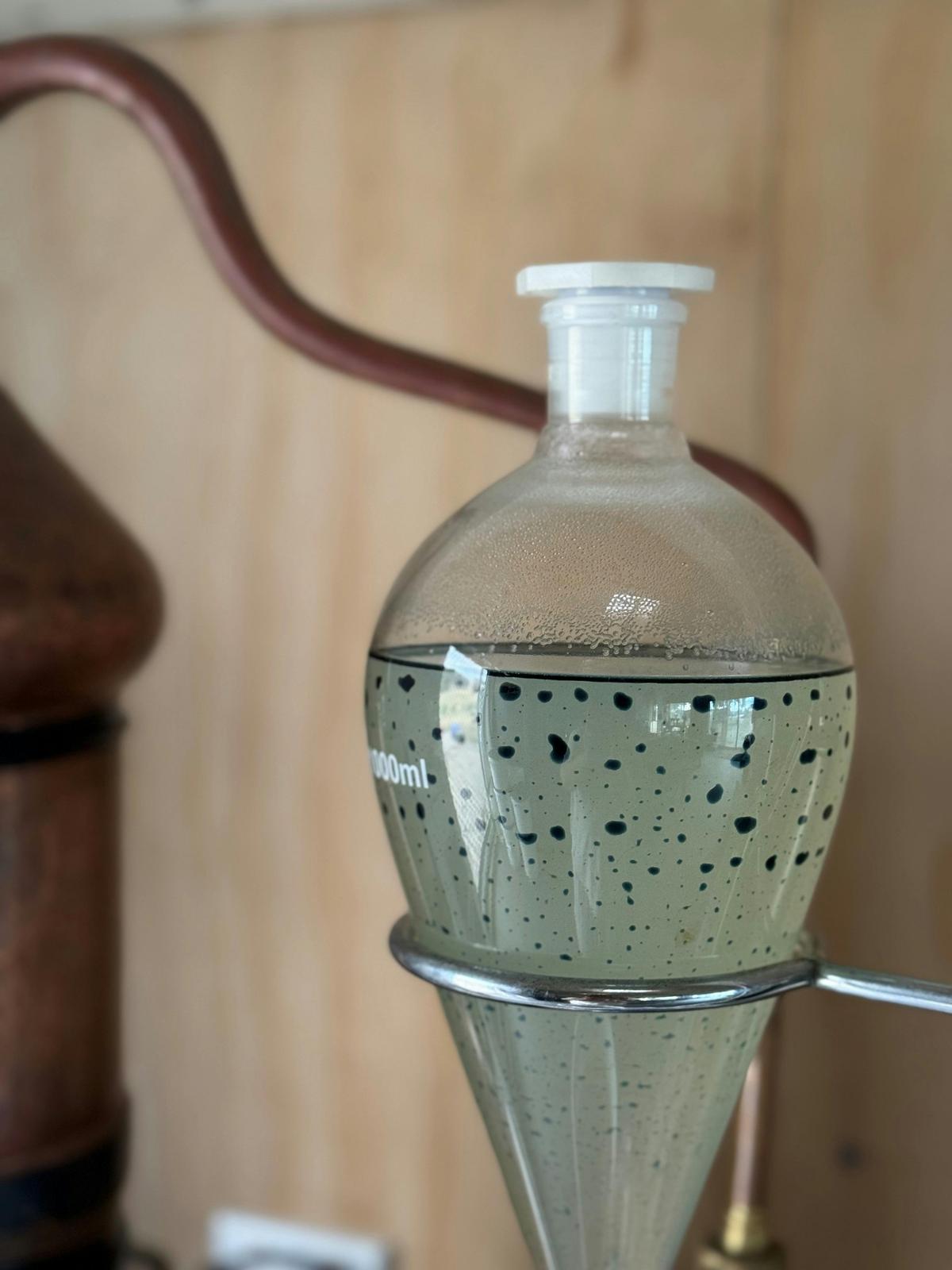separator