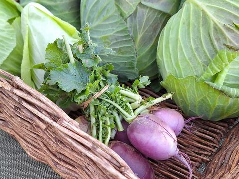Railway Street Fresh Food & Produce Market