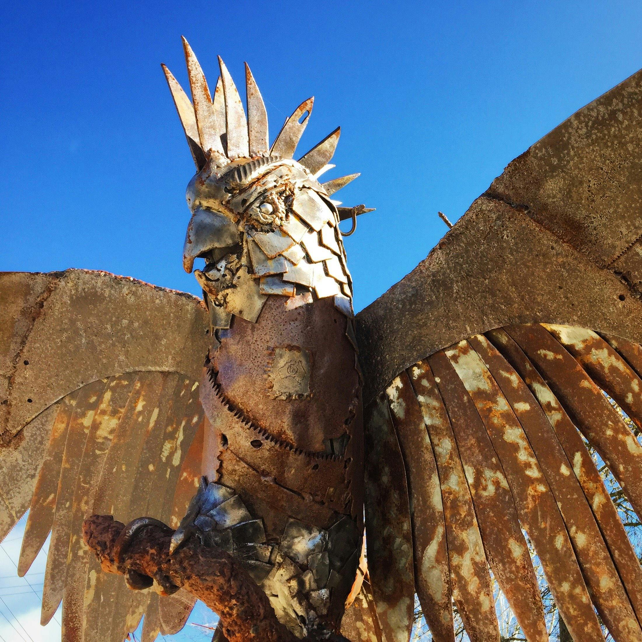 Rusty Cockatoor by Sean Meany