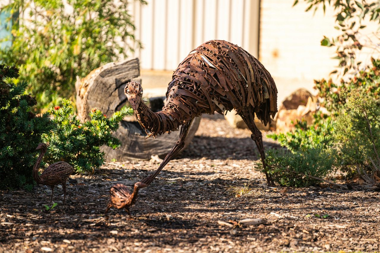 Emu Family