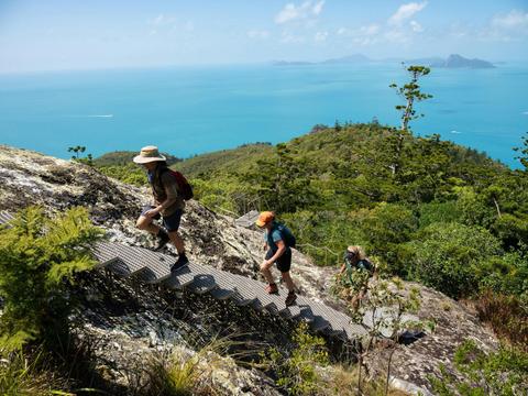 Ngaro Track