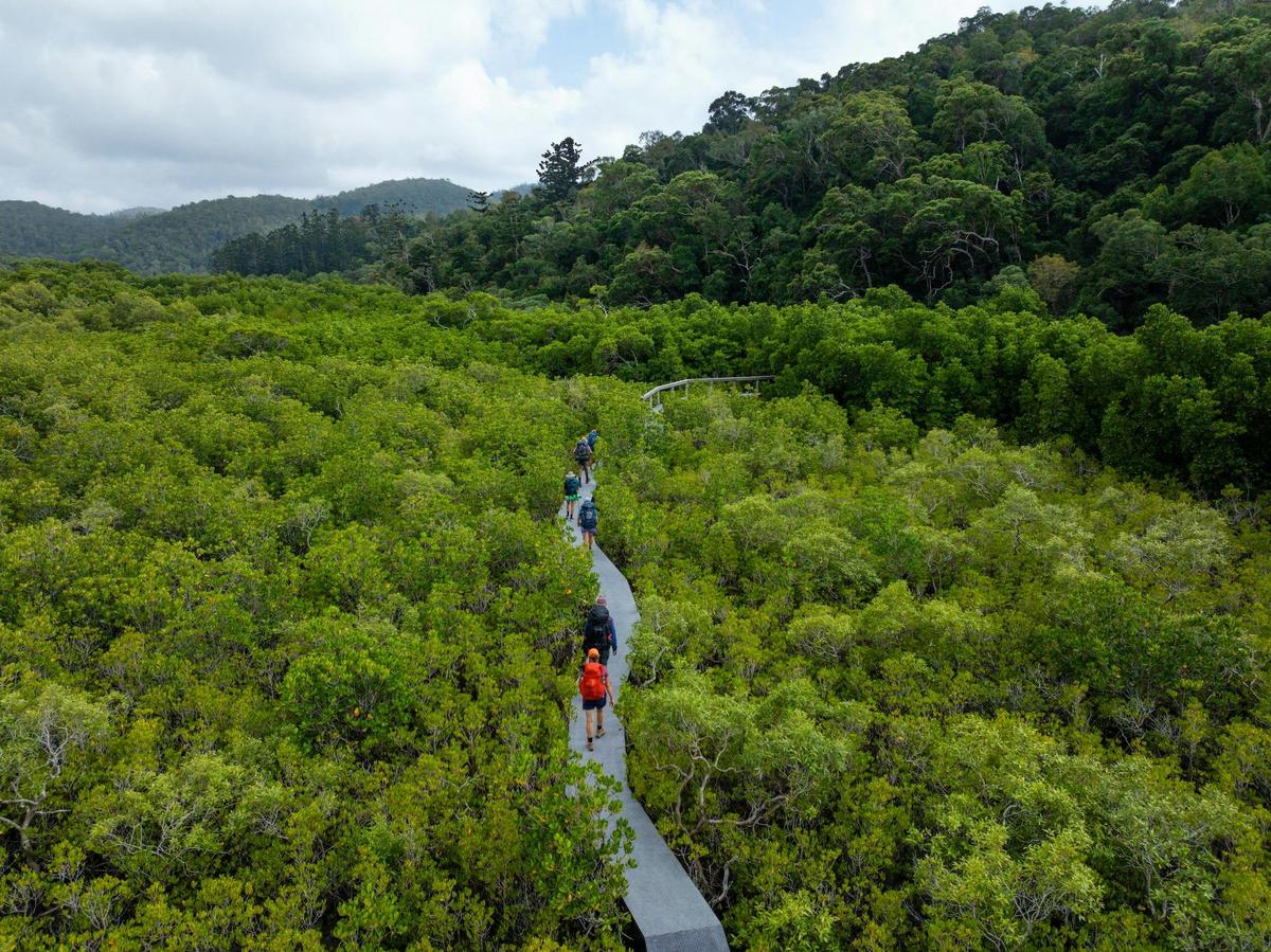 The Ngaro Track