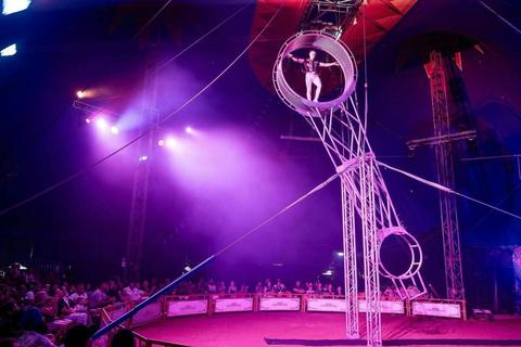 Stardust Circus - Castle Hill