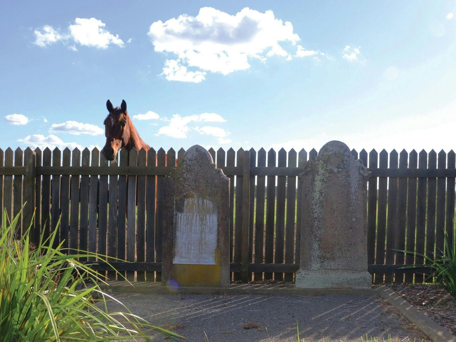 Maitland Jewish Heritage Walk