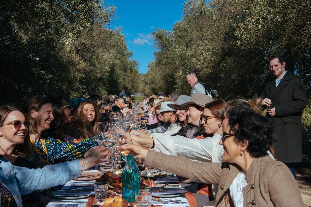 Dine amongst towering olive trees