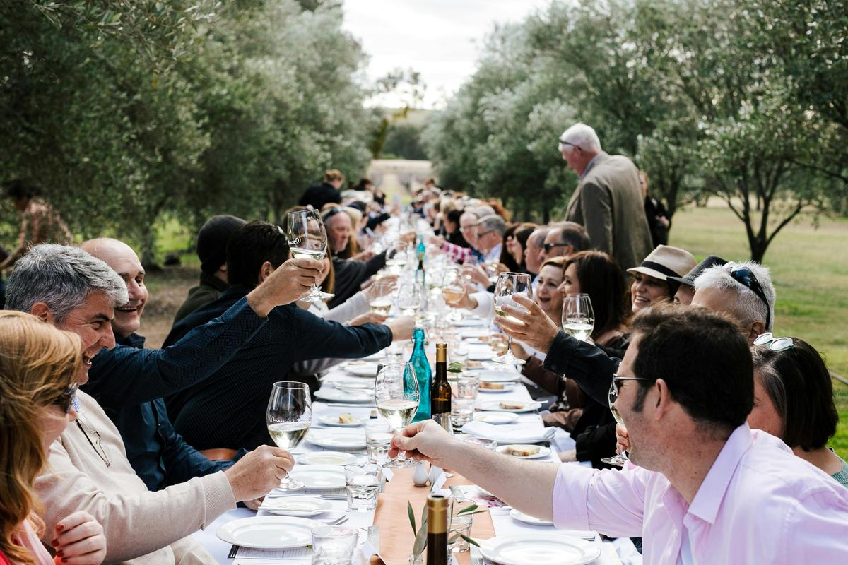 Whispering Brook Olive Long Table Lunch