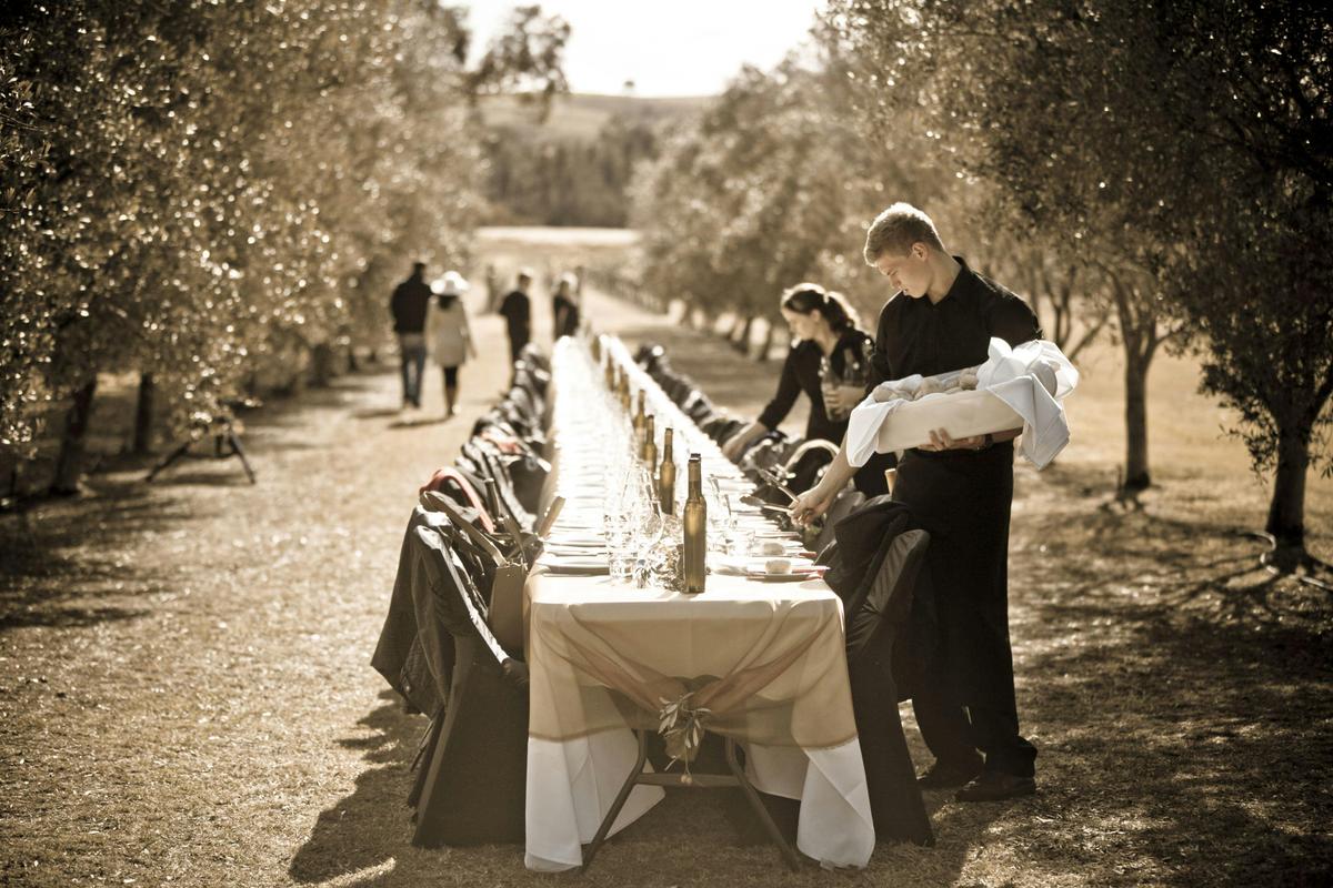 Whispering Brook Olive Long Table Luncheon
