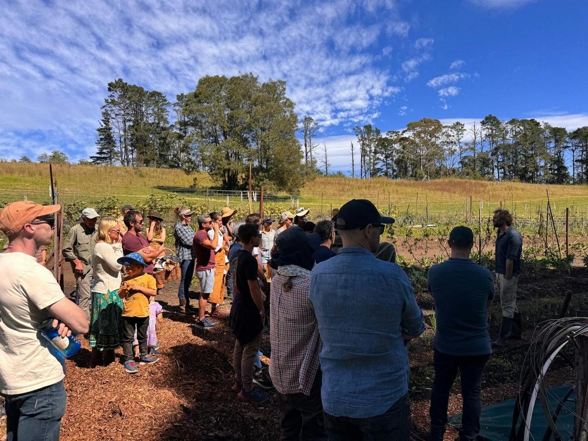 Big Tour Group Facilitation