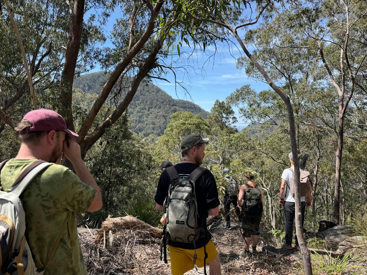 Guided bush walk