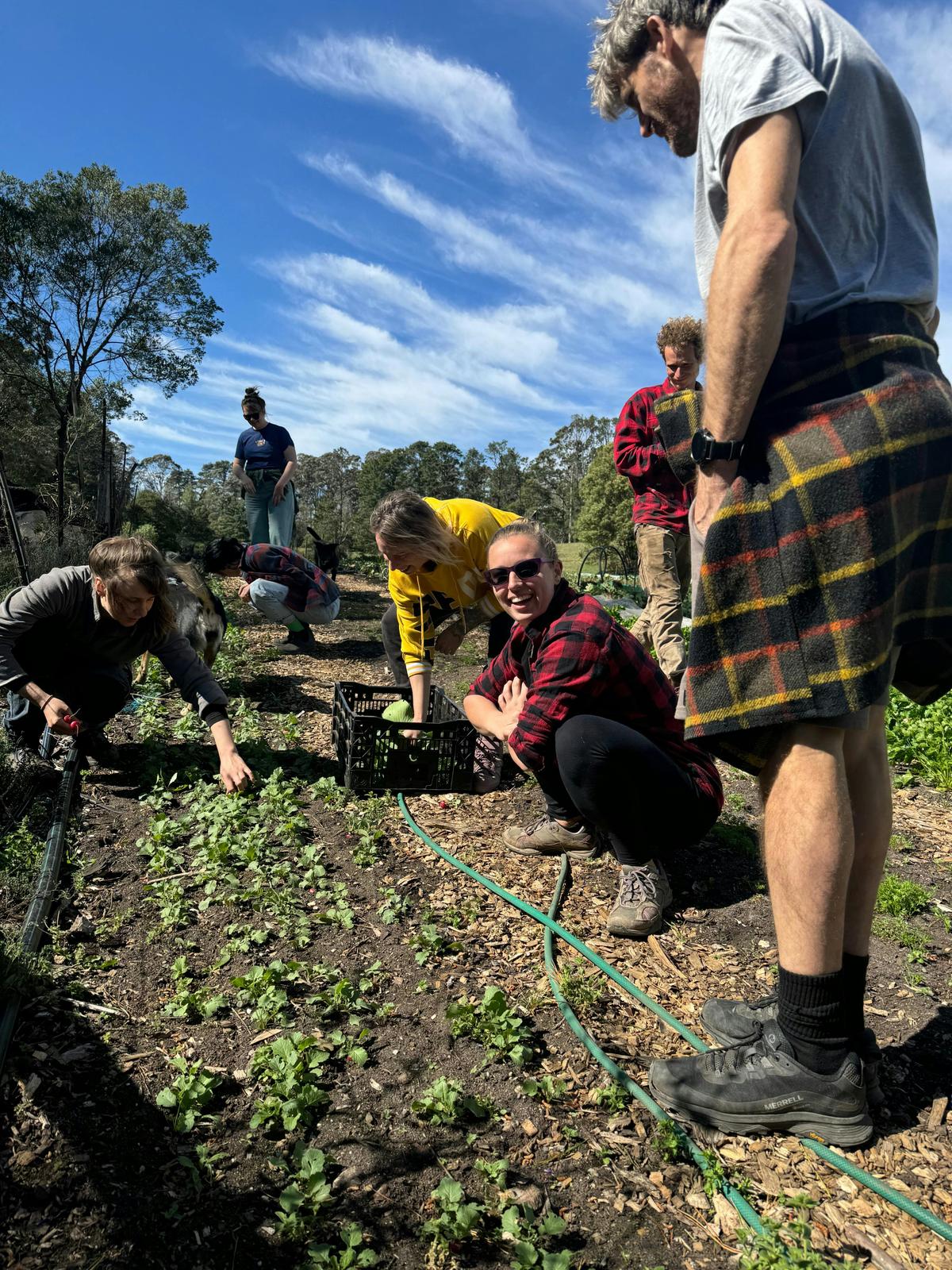 Harvest Farms tour