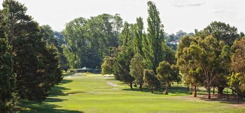 The Goulburn Cup and Plate