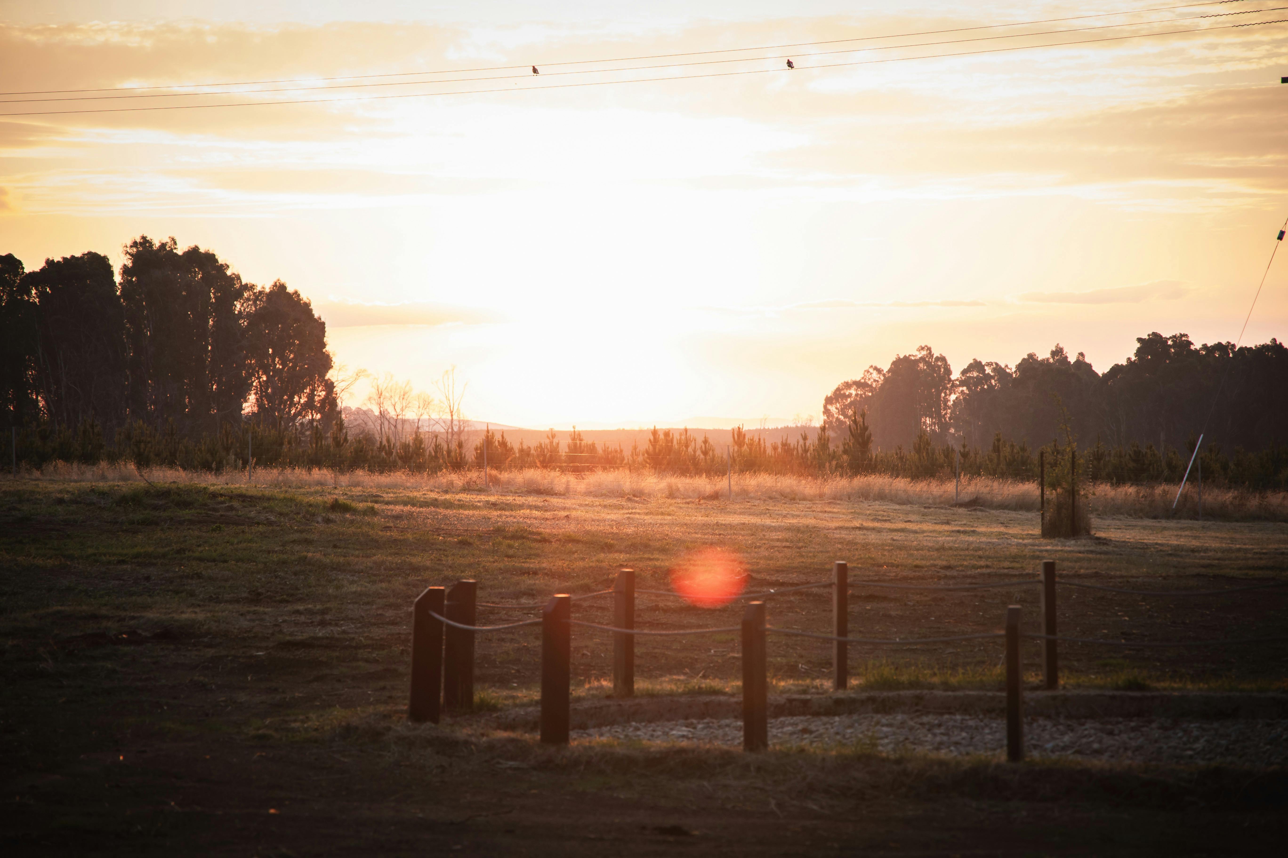 Sunset view form Lochinvar Rest Area