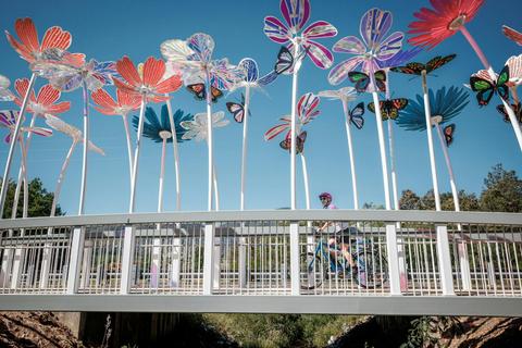The Colour Bridge by Skunk Control