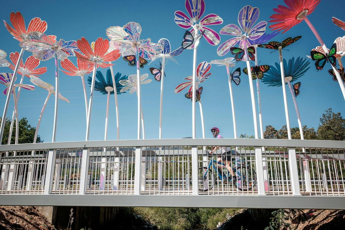 The Colour Bridge by Skunk Control