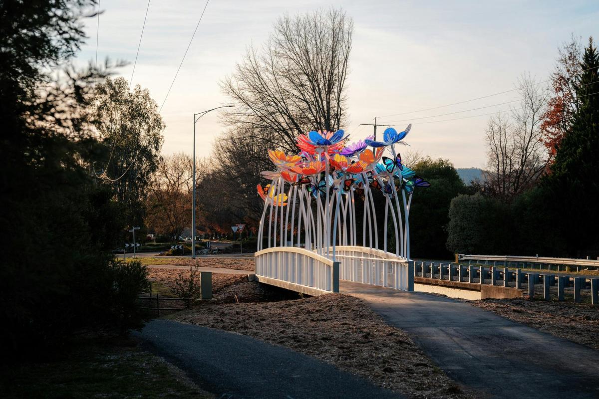 The Colour Bridge by Skunk Control