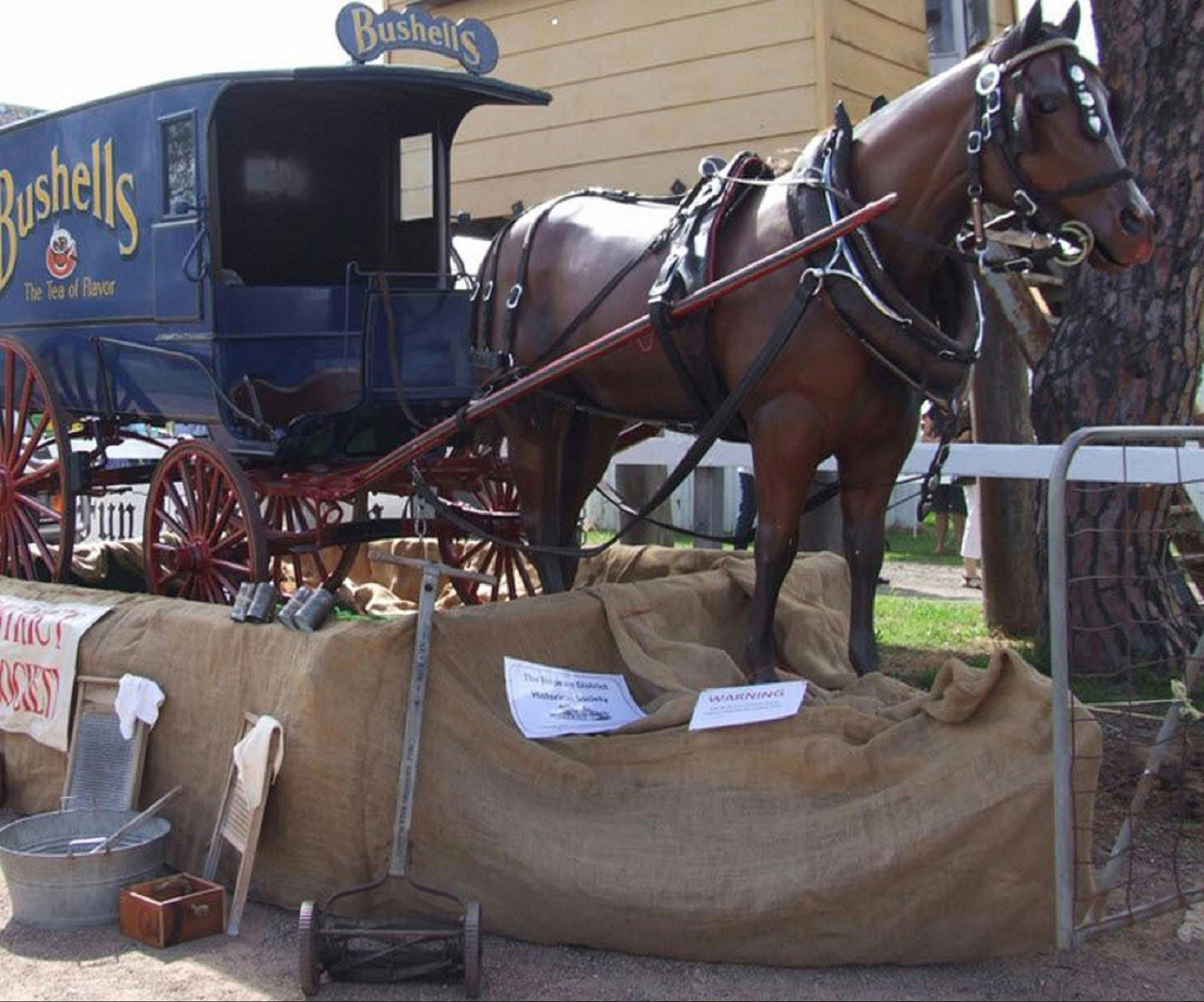 Arms of Australia Inn Museum