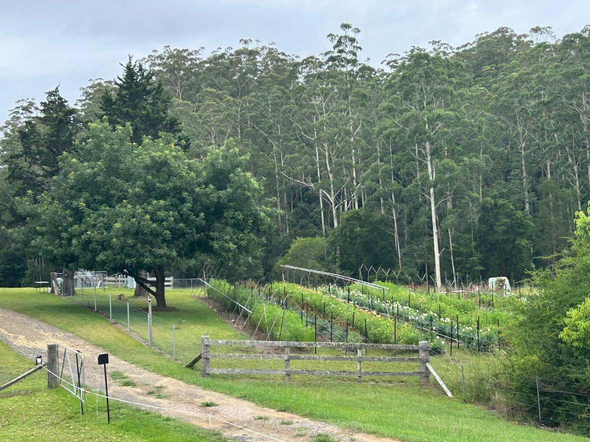 The farm