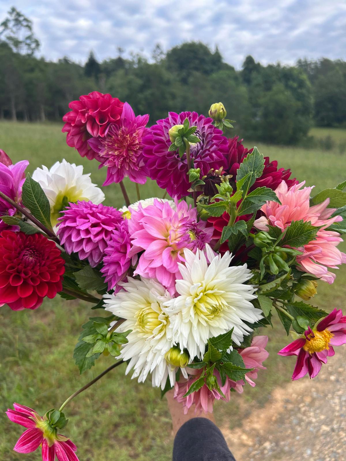 Pick your own bouquet