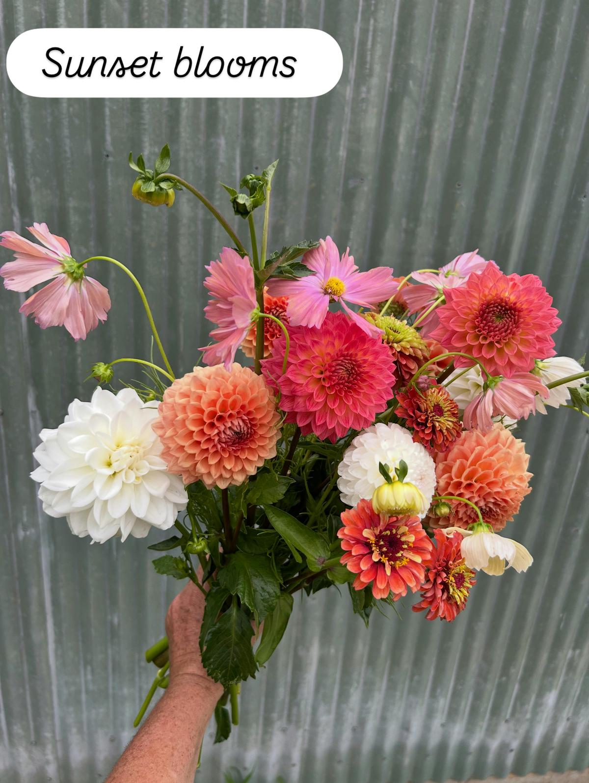 A sunset coloured array of dahlias and zinnias