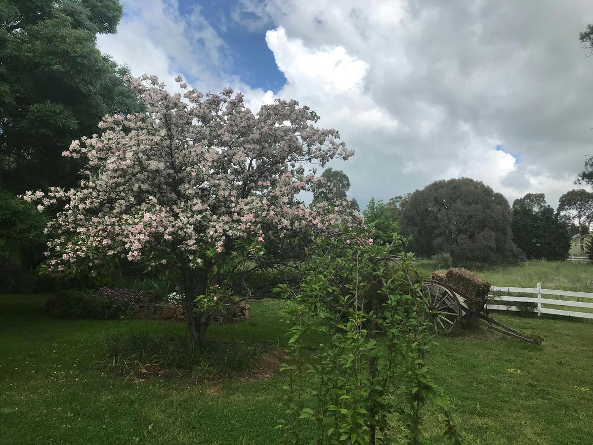 Hawks Nest Bed and Breakfast
